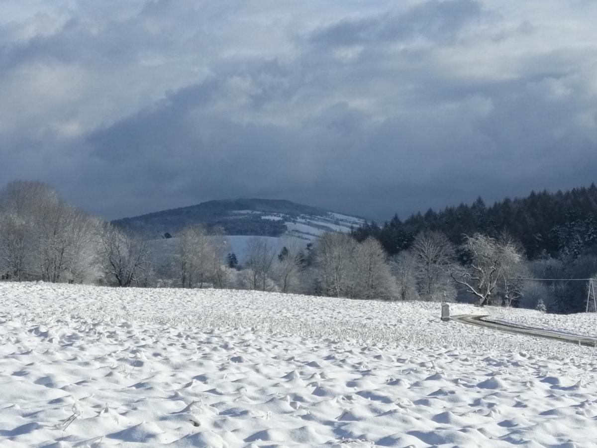 Rzepedka Villa Rzepedz Luaran gambar