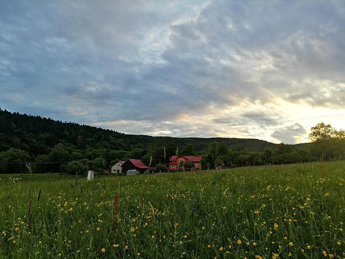 Rzepedka Villa Rzepedz Luaran gambar