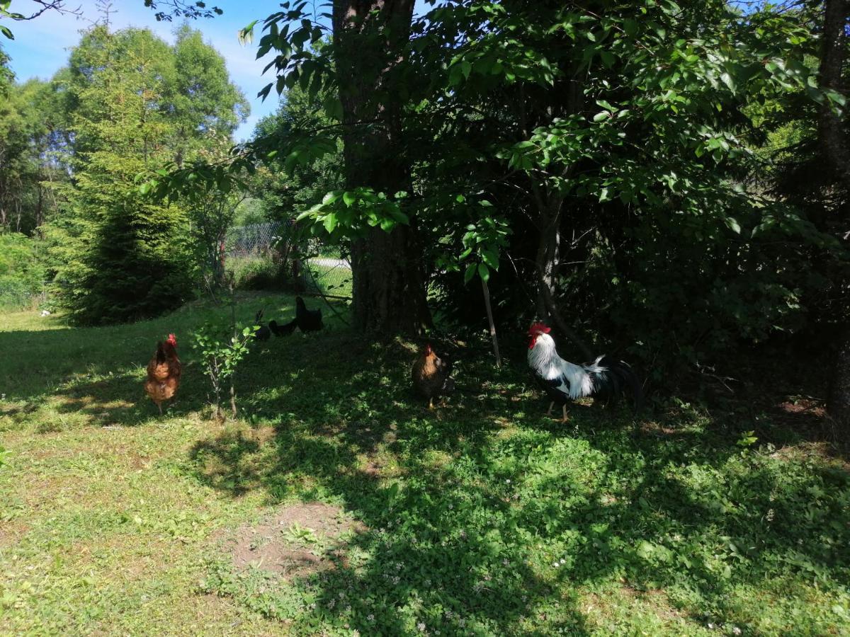 Rzepedka Villa Rzepedz Luaran gambar