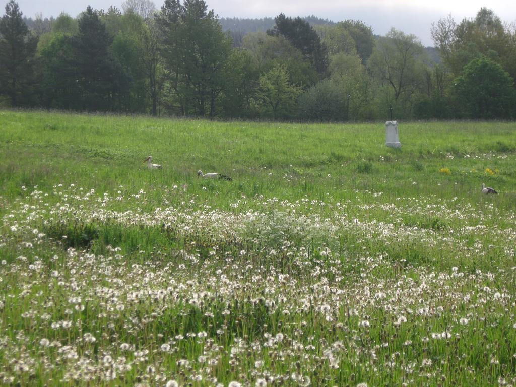 Rzepedka Villa Rzepedz Luaran gambar