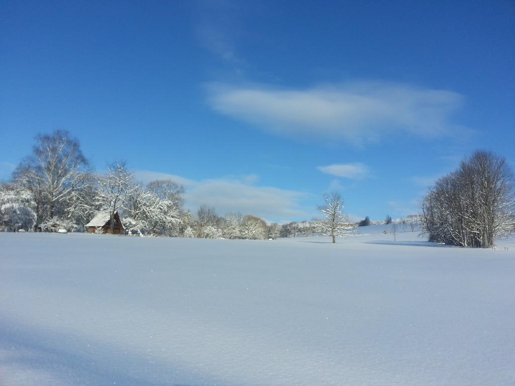 Rzepedka Villa Rzepedz Luaran gambar